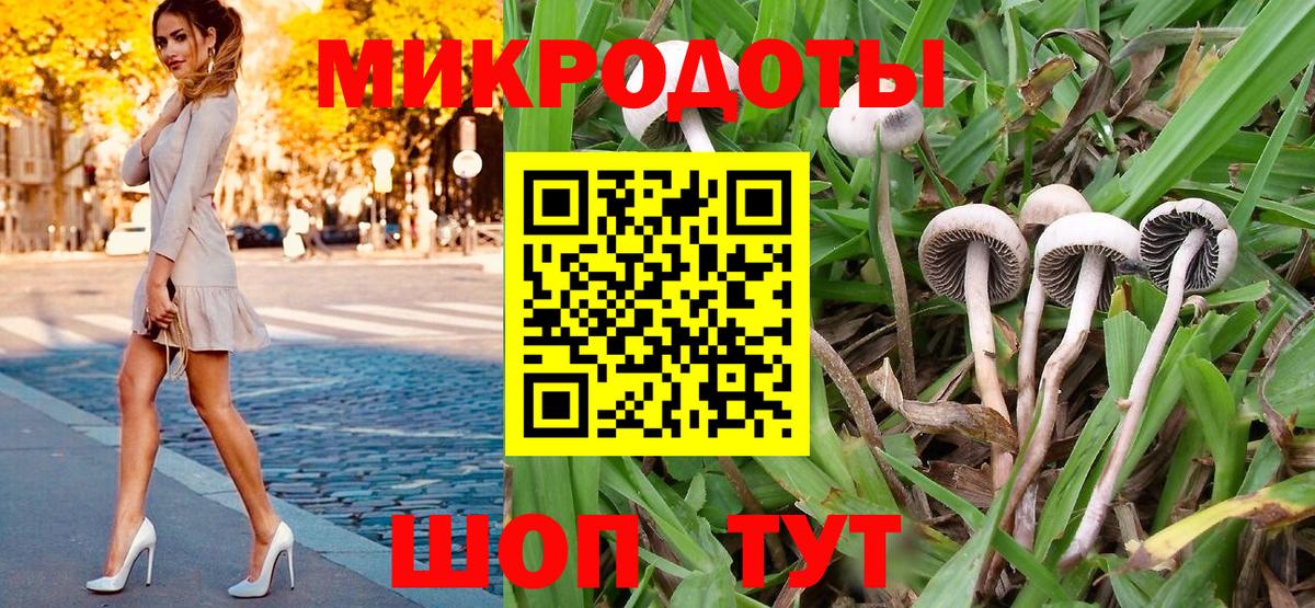 Псилоцибиновые грибы прущие грибы  Псилоцибиновые грибы мицелий  купить наркоту  Удомля  Вход с VPN 