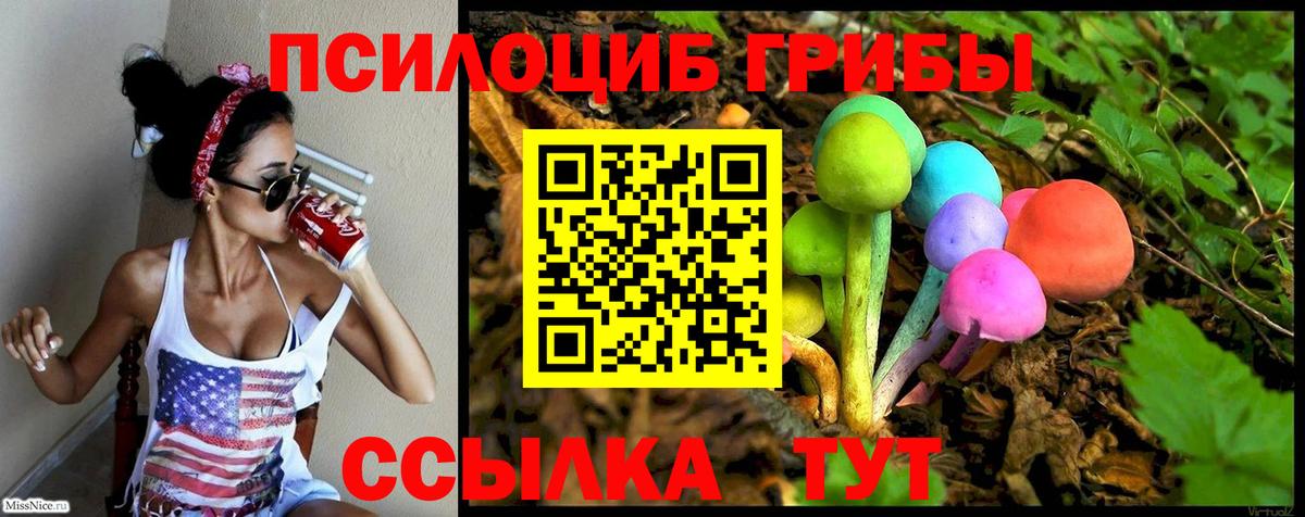 Псилоцибиновые грибы Magic Shrooms Удомля