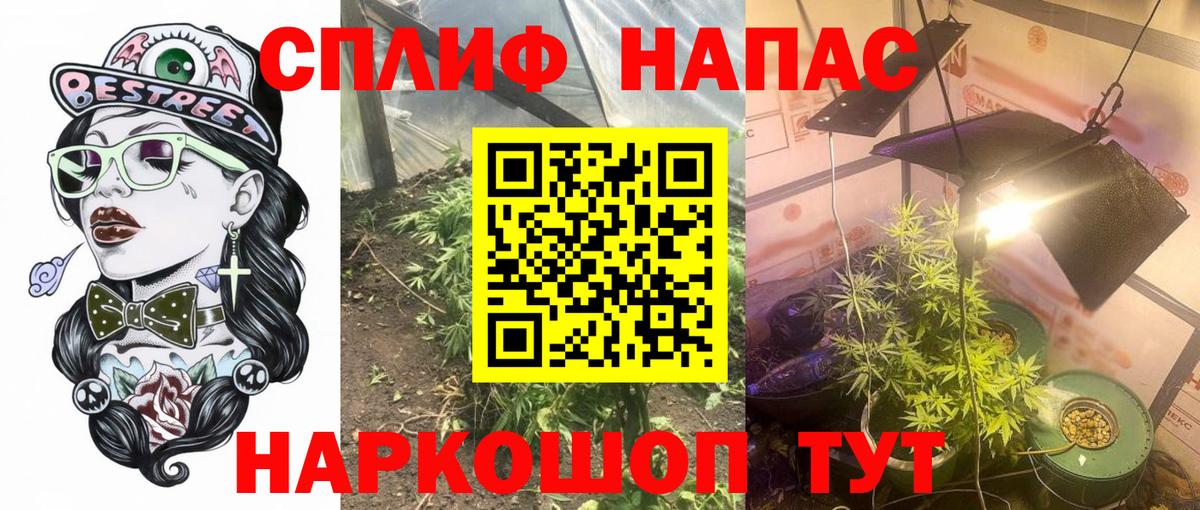 Канабис Amnesia Удомля